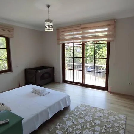 Villa Verde Vilă *