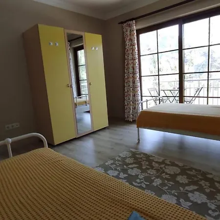 Vilă Villa Verde