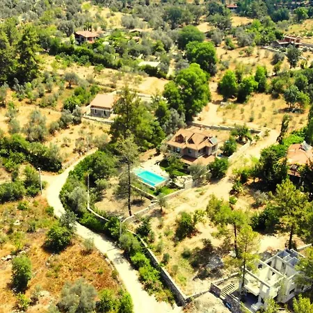 Villa Verde Vilă *