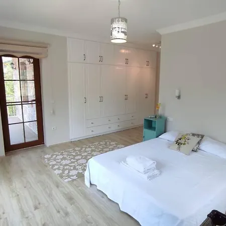 Villa Verde Vilă *