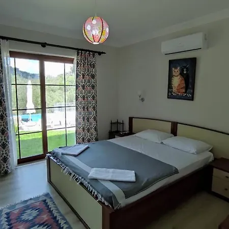 Vilă Villa Verde *