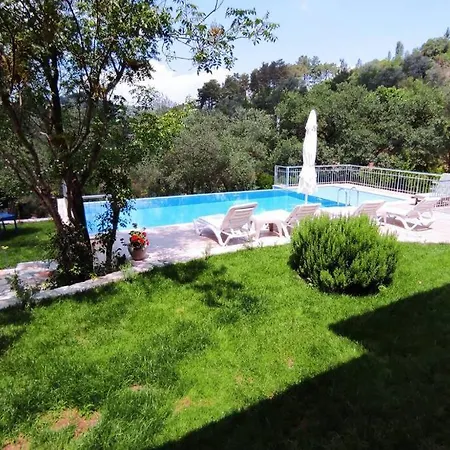 Villa Verde Villa